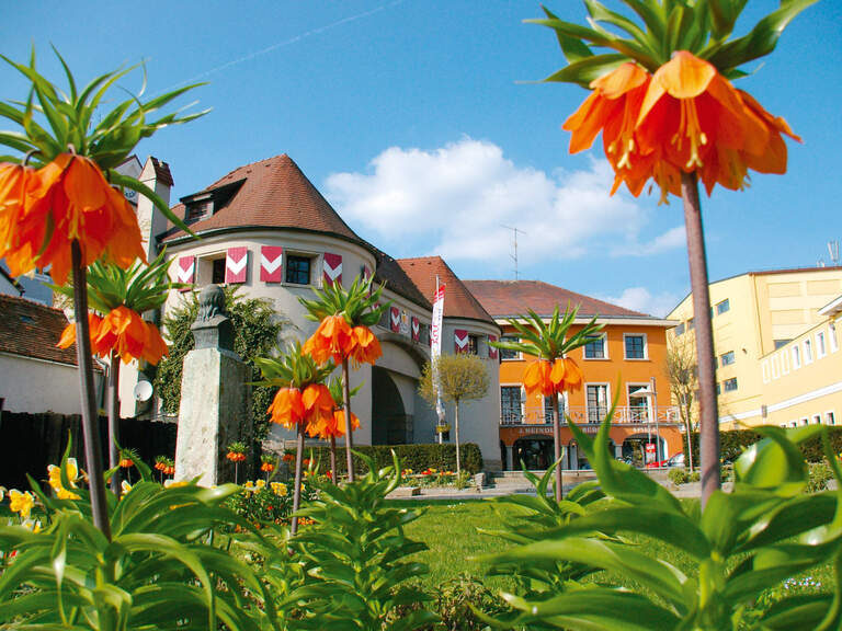 Das Linzer Tor in Schärding im Tageslicht mit strahlend blauem Himmel und blühenden orangen Blumen.
