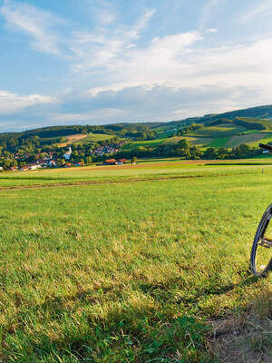 Ein Fahrrad lehnt an einem Baum und im Hintergrund sind weitläufige Wiesen zu erkennen.